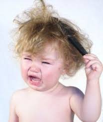 These haircut short for men dan women can be clean cut for work or edgy for play. B5205d66495a007babfa874878a04a88 Haircuts For Boys Layered Haircuts E1500495905577 Jpg Paragon School Of Pet Grooming