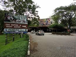 These include tigers, lions, elephants, hippopotamus, giraffes, hornbills, orang utans and others. Kos Operasi Zoo Taiping Night Safari Ditanggung