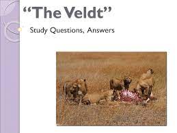 At commonlit we work hard to build features that support students at all reading levels to reach their highest potential. The Veldt Answers