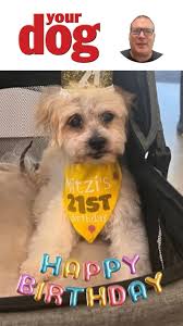 To see more of Andrew, Olive and Mabel's videos check out Andrew's YouTube  channel: www.youtube.com/mrandrewcotter Plus, ever wondered who Olive and  Mabel would want to play them in a Hollywood film? Read