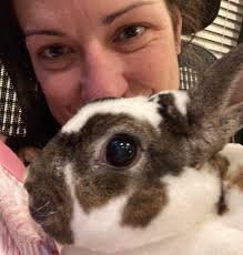 Holland lop and Netherland dwarf rabbit pair for adoption in NJ