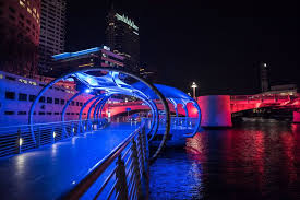 8 Fun Things To Do In Tampa Florida Travel Pockets Tampa Hotels Florida Travel Florida Adventures