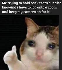 When a person cries with emotion, they can produce more tears than the lacrimal drainage system can cope with. My Eyes Are Puffy Meme