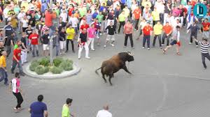 Resultado de imagen para toro enmaromado de benavente