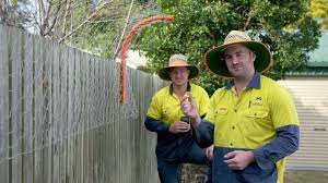 Factors that can precipitate a separation anxiety problem: Enclosures Video Keeping Dogs From Jumping Fences Youtube