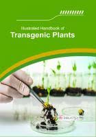 Image result for Alloeochaete oreogena