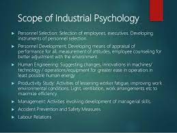 I/o professionals act as consultants within companies and organizations, work as researchers, and hold positions in various industries, including higher education. Industrial Organizational Psychology