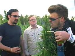 A place to grow farm, troy, mo. What Do They Use In Place Of Actual Marijuana Plants Movies Tv Stack Exchange