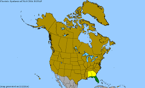 Image result for Eleocharis confervoides