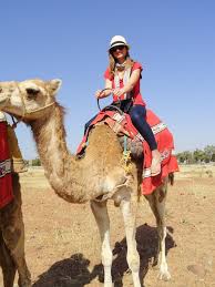 Pin On Morocco Desert Tours Online Booking