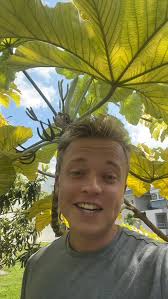 Have you ever tried Gummy Worm Fruit?