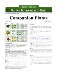 Companion Plants Peterborough Master Gardeners Ontario