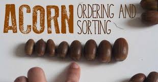 Acorns are fun and so versatile. Because Of An Acorn Activity Plan For Preschoolers