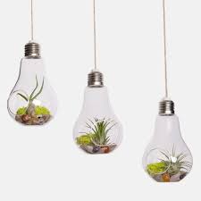 Demarkt multifonction vase pot de fleur en plastique pour maison bureau jardin décoration support stylo organisateur de pinceau de maquillage. Mkono Lot De 3 Ampoule De Terrarium Vase En Verre A Suspendre Pour Plante Succulente Et Air Amazon Fr Jardi Terrarium For Sale Modern Glass Vases Glass Bulbs