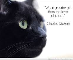 Cat Quotes What Greater Gift Than The Love Of A Cat Charles Dickens Cats Cat Quotes I Love Cats
