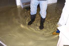 Check spelling or type a new query. Sewage Backup In Basement Health Risks And How To Prevent Them