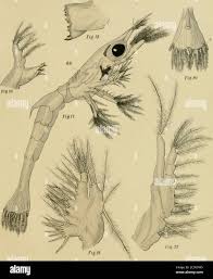 H f letters hi-res stock photography and images - Page 23 - Alamy