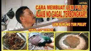 Itulah cara membuat kandang merpati dari triplek yang bisa anda lakukan di rumah. Cara Membuat Lem Pulut Burung Super Ampuh Dijamin Lengket No Gagal Youtube