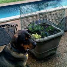 Rotate the toys every so often in order to keep the dog excited. Keep Dogs From Digging Up Potted Plants Temporary Fencing Found In The Building Section At Hom Dog Friendly Backyard Dog Yard Container Gardening Vegetables