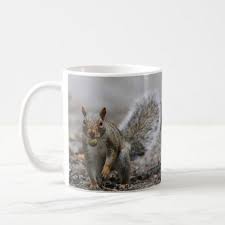Eastern Gray Squirrel Coffee Mug Photography Gifts Diy Custom Unique Special Eastern Gray Squirrel Diy Stuffed Animals Pet Gifts