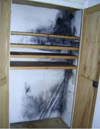 Großflächigen schimmel an wand oder decke entfernen. Schimmelpilze Hinter Mobel An Der Wand