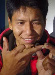 REGIONAL EDITION: THE AMERICAS In Memoriam: César Ramón Molina Rodriguez  Half a Million Dollars Directed Towards Saving Amphib