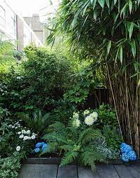 There are both woody and herbaceous varieties that can fit 39. Urban Space Getting My London Garden To Love Me Back Gardenista Urban Garden Design Small Tropical Gardens Garden Ideas Uk