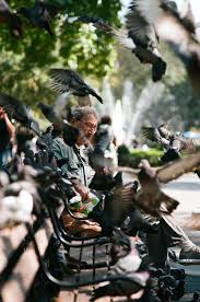 Bird Man Canon F1 100mm 2 8 Kodak Portra 160 Analog Kodak Portra Kodak Birdman