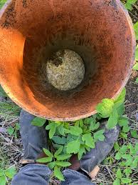 Image result for site:byggahus.se utreda