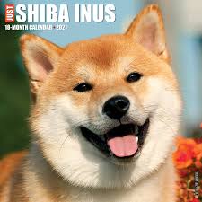 I have 1 boys and 1 girls charting to be 3lbs as adults.tails have been docked and dew claws removed. Just Shiba Inus 2021 Wall Calendar Dog Breed Calendar Amazon Co Uk Willow Creek Press 9781549213304 Books