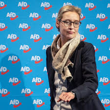 Dazu erklärt die fraktionsvorsitzende der afd im deutschen bundestag alice weidel: Afd Spendenaffare Fast Nur Strohleute Auf Spenderliste Fur Kreisverband Von Alice Weidel Stern De