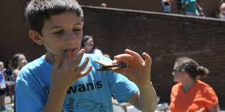 S'mores Made Using a Solar Cooker