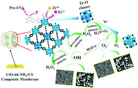 Smk kai chung mengutip sampah. Peroxidase And Uv Triggered Oxidase Mimetic Activities Of The Uio 66 Nh2 Chitosan Composite Membrane For Antibacterial Properties Biomaterials Science Rsc Publishing