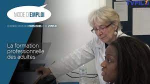Guadeloupe formation regroupe les labels « cité des métiers » et « ecole de la deuxième chance ». Mode D Emploi La Formation Professionnelle Des Adultes Youtube
