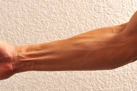Pin On Bodybuilding
