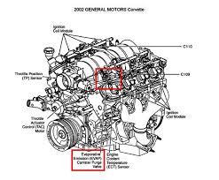 The evap system prevents fuel vapors in the fuel tank from escaping into the atmosphere. Canister Purge Valve What It Does And Why It Matters Emanualonline Blog