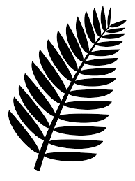 A plant watering tracker is a great way to document when you last watered your houseplants. Graphic Palm Frond Designs Google Search Leaf Stencil Paper Flowers Leaf Template