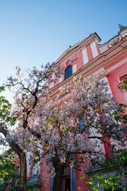 The Charming City Of Ljubljana Slovenia Love And Olive Oil In 2020 Ljubljana Slovenia City