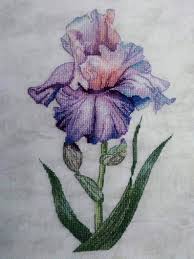 Maybe you would like to learn more about one of these? Flower Cross Stitch Pattern Pdf Instant Download Iris Cross Stitch Beautiful Cross Stitch Floral Cross Stitch Modern Cross Stitch Counted Patterns Sewing Needlecraft Mondobello Com Br