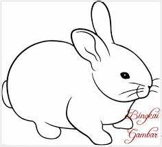 Check spelling or type a new query. 36 Gambar Hewan Sketsa Kelinci