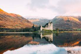 Scottish highland calfs are way too cute. Best 500 Scotland Pictures Scenic Travel Photos Download Free Images On Unsplash