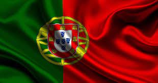As cores que aparecem na bandeira portuguesa são: Kdw5gjlid8segm