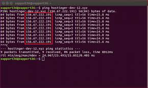 Check A Record Dns Making Sure Your Domain Is Correctly Pointed