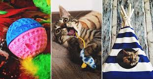 40 Diy Cat Toys Every Cat Lover And Their Cats Will Adore Well in case you're new to these parts, i chose five readers who would receive a special birthday surprise from me for their next big day! 40 diy cat toys every cat lover and