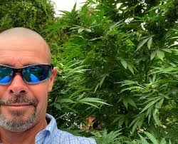 Here is the link to the recording of 7Song's FREE class today about herbs  for mental health. Enjoy! 💚