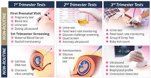 Image result for Fetal Testing Indications