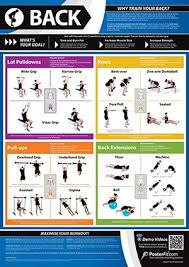 Back Exercise Poster