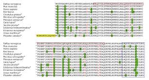 Pdrg1 At The Interface Between Intermediary Metabolism And