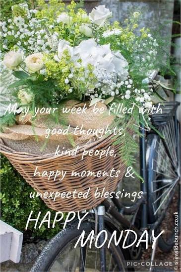 Hay your week be filled fillednth with goodthoughts good kind pep, happy  moments & unexpeeted blessings HAPPY MONDAY PIC.COLLAGE
