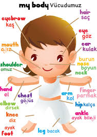 Learning Turkish Egitim Teknolojisi Egitim Faaliyetler